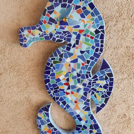 Villa Des Vignes Bandol