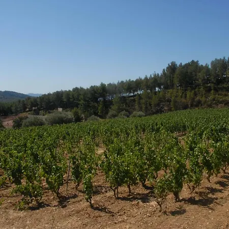 Villa Des Vignes Bandol