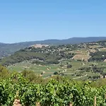 Des Vignes
