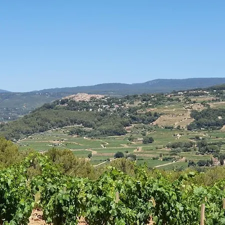 Des Vignes * Bandol