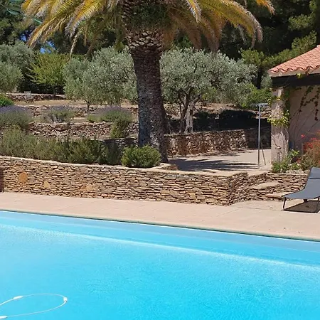 Des Vignes فيلة