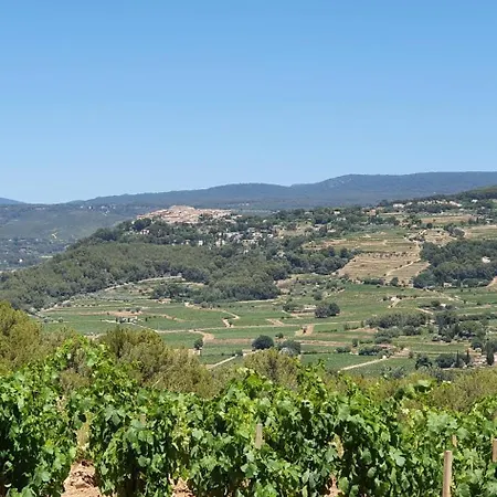 Des Vignes
