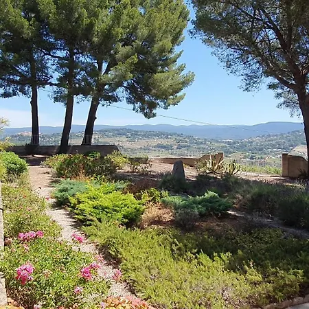 فيلة Des Vignes