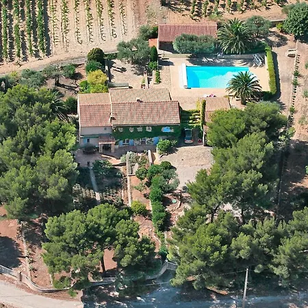 Des Vignes * Bandol