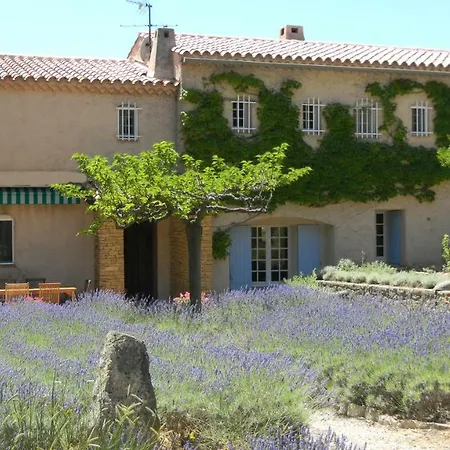 Des Vignes