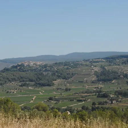 Villa Des Vignes
