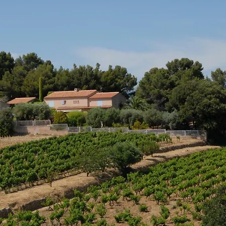 Des Vignes * Bandol