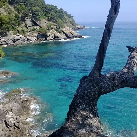 Des Vignes Bandol