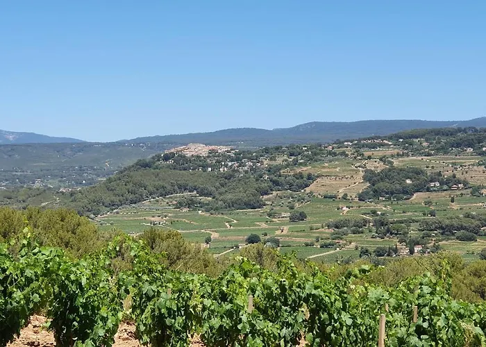 Des Vignes