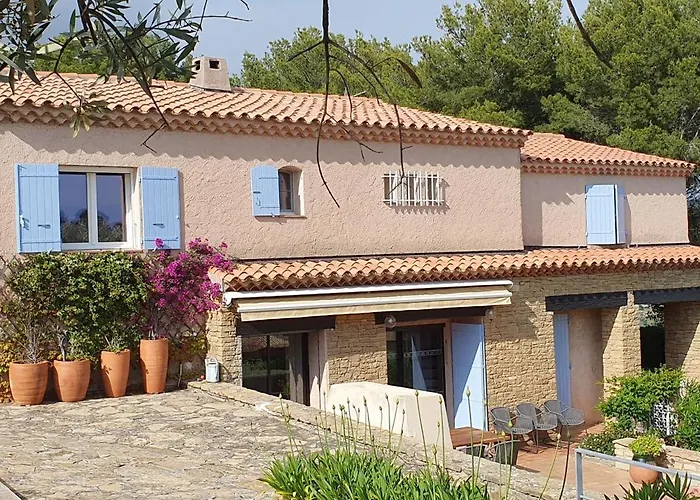 فيلة Des Vignes